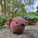 Crochet Awawa Christmas Car Charm – Handmade Rock Hyrax with Holly