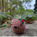 Crochet Awawa Christmas Car Charm – Handmade Rock Hyrax with Holly