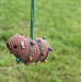 Crochet Awawa in Christmas Lights – A Tiny Holiday Companion