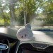 Cute crochet shark hanging rear view mirror charm or bag pendant