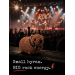Handmade Crochet Rock Hyrax (Awawa), Rock fan gift, Rearview mirror car charm