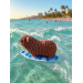 Handmade Crochet Surfing Hyrax (Awawa)