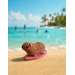 Handmade Crochet Surfing Hyrax (Awawa)