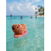 Handmade Crochet Surfing Hyrax (Awawa)