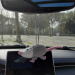 Rear view mirror opossum crochet cute accessory for car