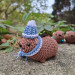 Winter Awawa Crochet Charm – Handmade Rock Hyrax with Beanie & Scarf